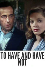 To Have and Have Not 1945 First Early Colored Films Version