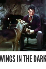 Wings in the Dark 1935 Full Movie Colorized