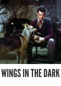 Download Wings in the Dark (1935) Colorized HD | Myrna Loy | Aviation Romantic Drama | AlwanFilm Wings in the Dark 1935 Colorized