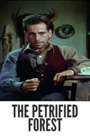 Download The Petrified Forest (1936) Colorized HD | Leslie Howard | Desert Drama Noir