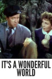 Download It’s a Wonderful World (1939) Colorized HD | Claudette Colbert | Screwball Comedy