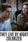 They Live by Night Colorized 1949: Best Chromatic Journey into Noir Romance
