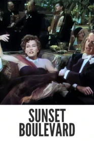 Sunset Boulevard 1950 Full Movie Colorized