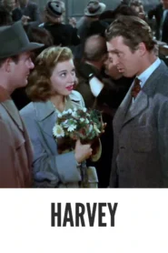 Download Harvey (1950) Colorized HD | James Stewart | Fantasy Comedy Classic