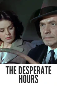 The Desperate Hours 1955 Full Movie Colorized