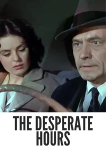 Download The Desperate Hours (1955) Colorized HD | Humphrey Bogart | Gripping Crime Drama
