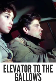 Download Elevator to the Gallows (1958) Colorized HD | Jeanne Moreau | Stylish French Crime Drama