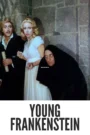 Download Young Frankenstein (1974) Colorized HD | Gene Wilder | Mel Brooks Comedy