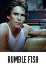 Download Rumble Fish (1983) Colorized HD | Matt Dillon | Arthouse Coming-of-Age Drama