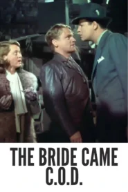 Download The Bride Came C.O.D. (1941) Colorized HD | James Cagney | Madcap Romantic Comedy