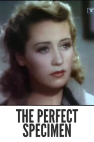 Download The Perfect Specimen (1937) Colorized HD | Errol Flynn | Screwball Comedy