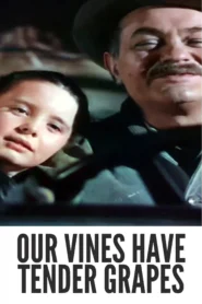 Download Our Vines Have Tender Grapes (1945) Colorized HD | Edward G. Robinson | Sentimental Classic