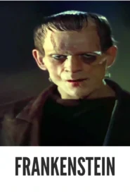 Download Frankenstein (1931) Colorized HD | Boris Karloff | Gothic Horror Classic