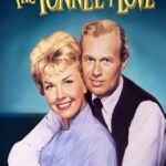 The Tunnel of Love (1958) Colorized