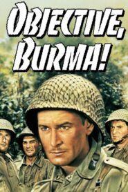 Objective, Burma! (1945) Colorized – Errol Flynn – Digital HD Download