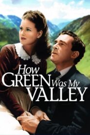 How Green Was My Valley (1941) Colorized
