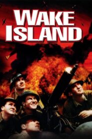 Wake Island (1942) Colorized