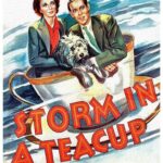 Storm in a Teacup (1937) Colorized