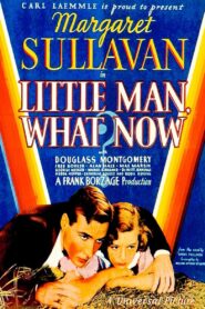 Little Man, What Now? (1934) Colorized