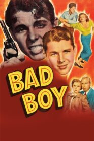 Bad Boy (1949) Colorized