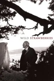 Wild Strawberries (1957) Colorized