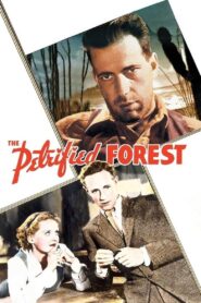 The Petrified Forest (1936) Colorized