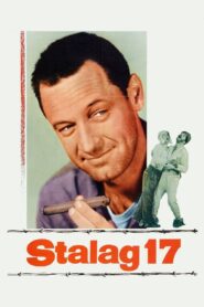 Stalag 17 (1953) Colorized