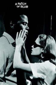 A Patch of Blue (1965) Colorized