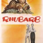 Rhubarb (1951) Colorized – Orangey the Cat – Digital HD Download