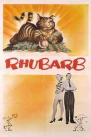 Rhubarb (1951) Colorized – Orangey the Cat – Digital HD Download
