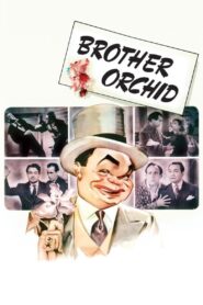 Brother Orchid (1940) Colorized