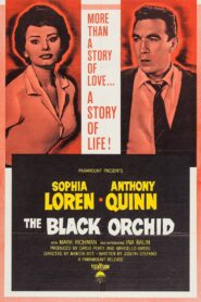 The Black Orchid (1959) Colorized