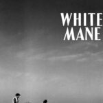 White Mane (1953) Colorized