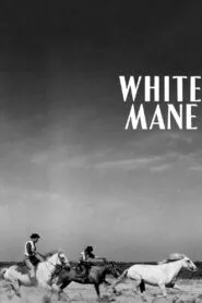 White Mane (1953) Colorized