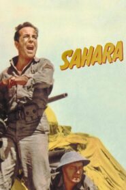 Sahara (1943) Colorized