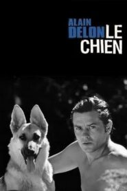 Le Chien (1962) Colorized