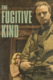 The Fugitive Kind (1960) Colorized