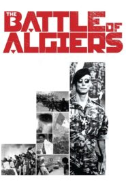 The Battle of Algiers (1966) Colorized – Brahim Hadjadj – Digital HD Download