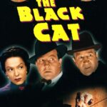 The Black Cat (1941) Colorized