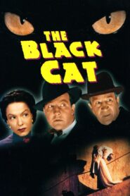 The Black Cat (1941) Colorized