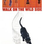 Walk on the Wild Side (1962) Colorized