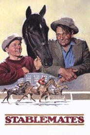 Stablemates (1938) Colorized