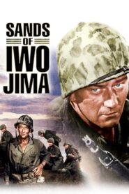 Sands of Iwo Jima (1950) Colorized