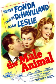 The Male Animal (1942) Colorized