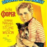 Divorce In The Family